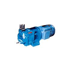 Water Ring Vacuum Pumps