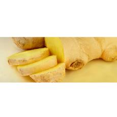 Ginger Extract With Medicinal Properties