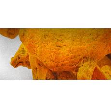 Antioxidant Natural Turmeric Extract