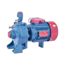 Double Stage Centrifugal Pumps