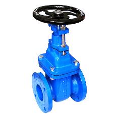 Sluice Valve With Drain Plug