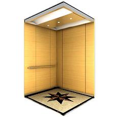 Residential Purpose Elevators With Pvc Flooring