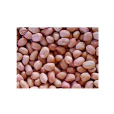 Groundnut Seeds With Nutritional Properties