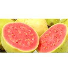 Pure Pink Guava Puree