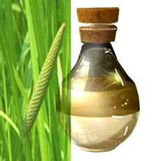 Fine Fragrant Calamus Oil