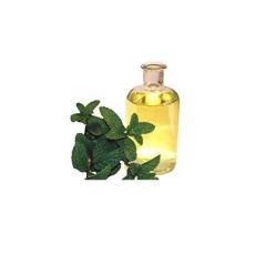 Pure Grade Mentha Arvensis Oil