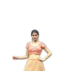 Designer Organza Lehenga With Blouse