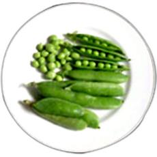 Pea Seeds