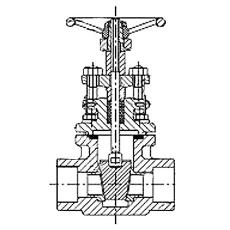 Forged Steel Gate Valve