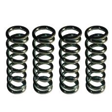 Rust Resistant Industrial Springs