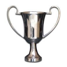 Metal Finished Sports Cup