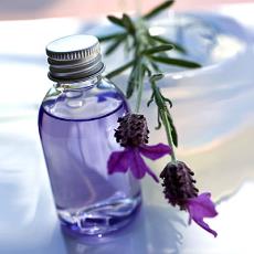 Steam Distilled Lavender Essential Oil