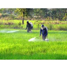 Insecticide For Agricultural Industry