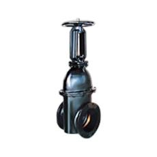 Cast Steel Gate Valve