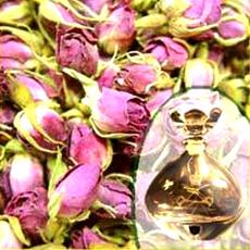 Aromatic Type Rose Fragrance