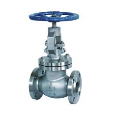 Industrial Grade Globe Valve