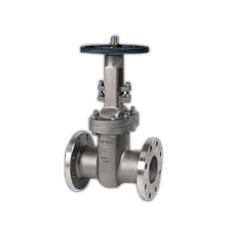 Alloy Made Gate Valve