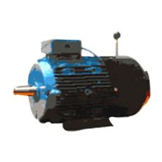 Industrial Purpose Brake Motors