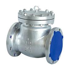 Swing Type Check Valve