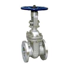 Cast Gate Valve With Flanged/ Butt Weld Ends