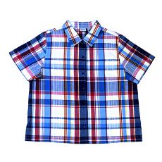 Chequered Type Half Sleeve Shirt