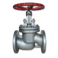 Anti Corrosive Globe Valve