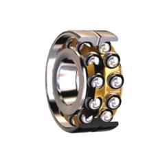 Corrosion Resistant Deep Groove Ball Bearing