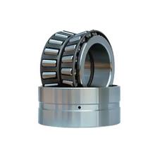 Corrosive Resistant Double Row Bearing