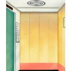 High Tensile Personnel Elevators