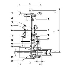 Forged Steel Gate Valve