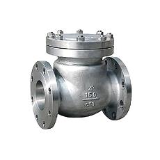 Compact Swing Check Valve