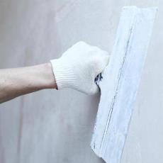 Hygienically Processed Wall Putty