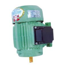 Industrial Cooling Tower Motor