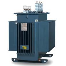 Oil Immersed Voltage Transformer