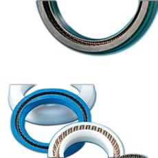 Corrosion Resistant Spring Energized Seal