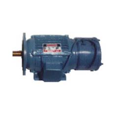 Brake Motor With Ac/ Dc Electrodynamic Brakes