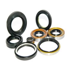 Light Weight Oil Seal