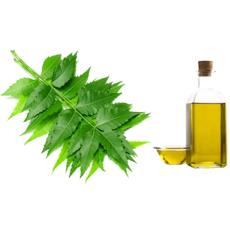 Organic Type Neem Oil