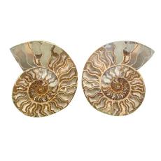 Round Shaped Designer Earring