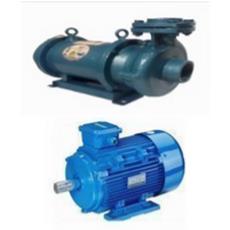 Submersible Pump And Motor