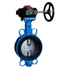 Double Flanged Butterfly Valve