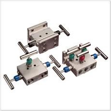 Compact Designed Manifold Valve