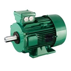 Compact Designed Electric Motor