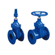 Ductile Iron Made Valve