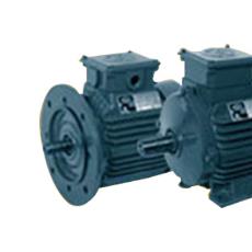 Industrial Grade Crane Duty Motor