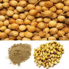 Hygienically Packed Coriander Seed