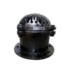 Corrosion Resistant Foot Valve