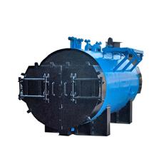 Wood/ Coal Fired Steam Boiler