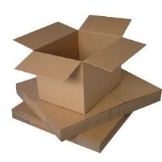 Packaging Purpose Carton Box