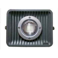 Led Floodlight With Lens